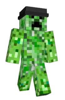 Front of Animal16's skin