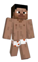 Minecraft skin — Classic model