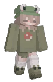 Skin preview
