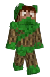 Skin preview