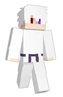 Front of pwwv's skin