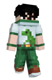 Front of 99Typor's skin