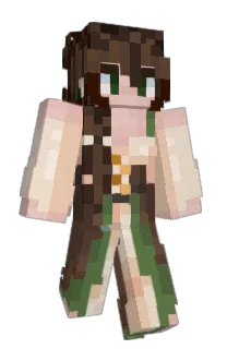 Front of N_26's skin
