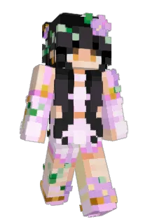 c0cse Minecraft avatar full body
