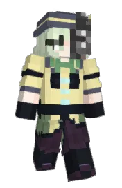 Skin preview