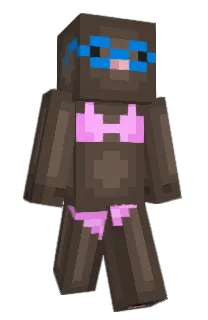 Front of Minecraft skin