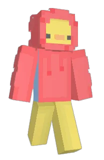 Front of FNT04's skin