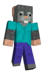Classic Minecraft skin