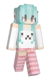 Skin preview