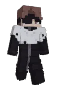 APoorCat