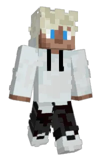 Front of 6384's skin