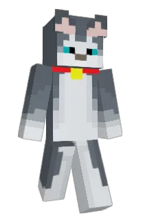 Front of Dios_Diego's skin