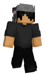 Minecraft skin — Classic model
