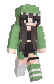 Skin preview