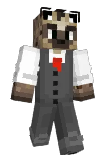 c0stcocat Minecraft avatar full body