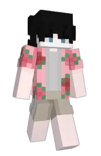 Front of soniczr's skin