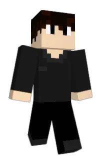 Front of Bee_buzz3's skin