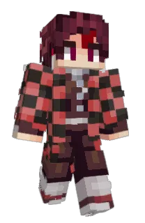 Front of FAMC69's skin