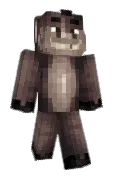 ElSlix