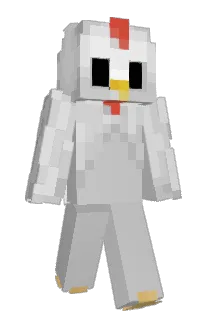 Front of Chckns's skin