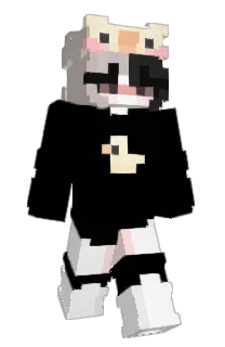 Front of vSaloo's skin