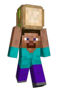 lallaroo's Minecraft skin