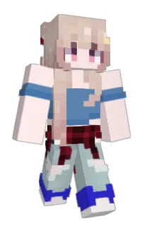 Front of Minecraft skin
