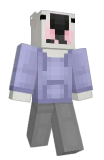 Front of Minecraft skin
