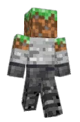 DOMIZION