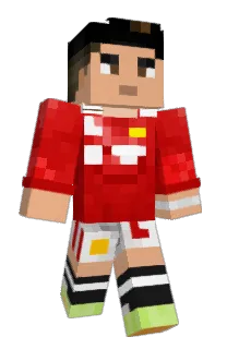 Front of Lanpick's skin