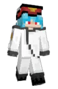 SirSnowFox