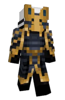 Front of knighthyme's skin