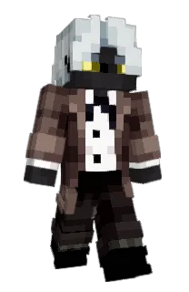 Front of Ne1zit's skin