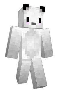 Front of NorthstarTex's skin
