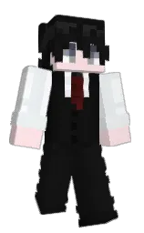 cod gray and cinderella Minecraft skin — Slim model — first worn by Vek0