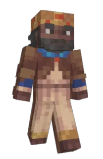 Front of Kitfo's skin