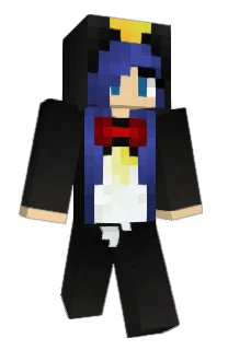 Front of PC's skin