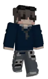 Minecraft skin — Classic model