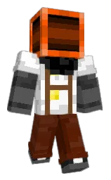 white and black Minecraft skin — Classic model
