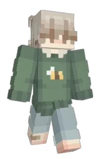 pingaroni's Minecraft skin