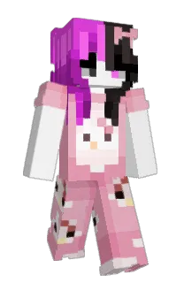 Front of Difixed's skin