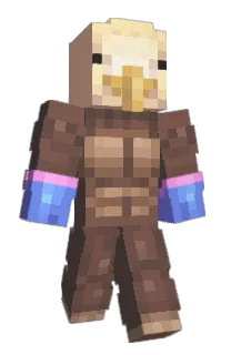 Front of 5tie's skin