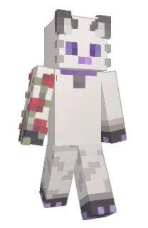 Front of disuso's skin
