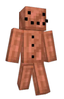 Front of Entity0_'s skin