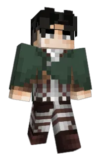 Front of sShout's skin