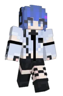 Front of XD333's skin
