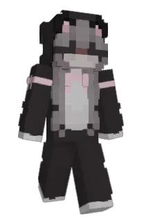 Front of sckrew's skin