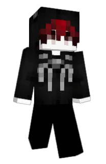 Front of wssky's skin
