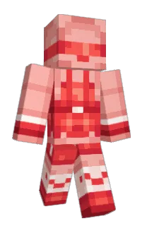 Front of Minecraft skin