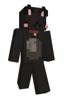 Front of Khvastlivyy's skin